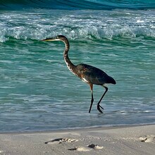 3755 Scenic Hwy 98 in Destin, FL - Building Photo - Building Photo