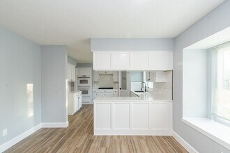 8611 Spruce Mill Dr in Houston, TX - Building Photo - Building Photo