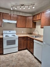 136 N Mantua St in Kent, OH - Building Photo - Building Photo