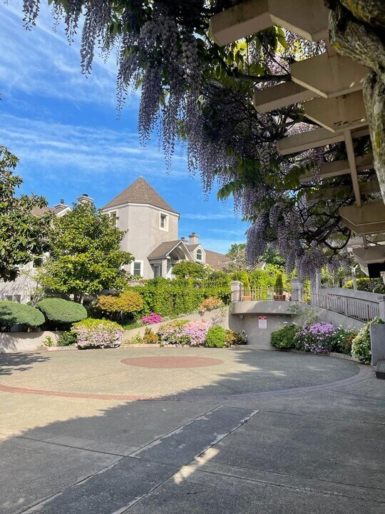 18 Laurel Ave in Belvedere, CA - Building Photo