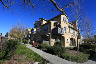 Olive Grove Apartments in Santa Rosa, CA - Building Photo - Building Photo