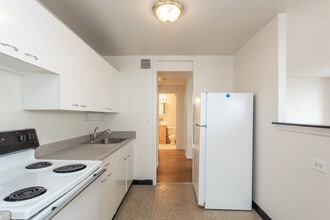 South Shore Beach Apartments in Chicago, IL - Building Photo - Building Photo