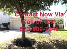 9514 Narnia Springs Ct in Houston, TX - Building Photo