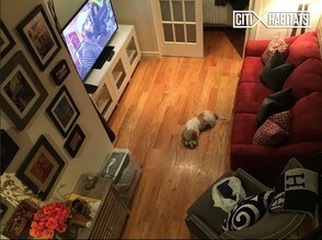 722 10th Ave-Unit -5C in New York, NY - Building Photo - Building Photo