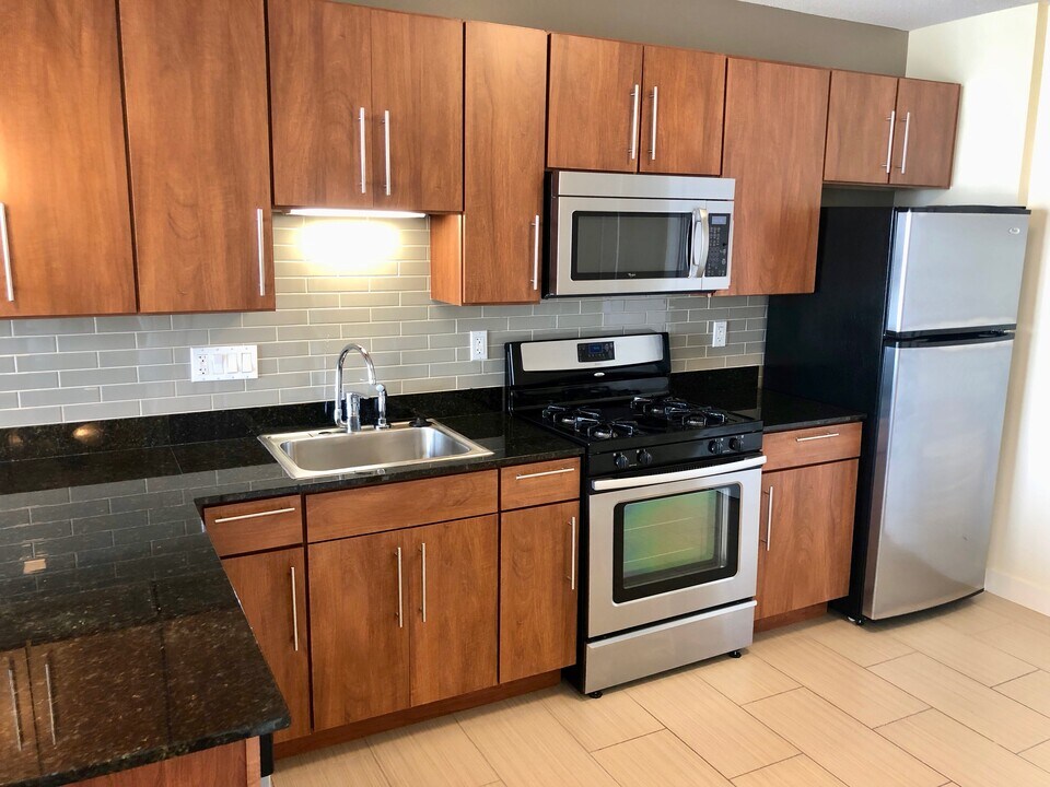 733 N Wells St in Chicago, IL - Foto de edificio