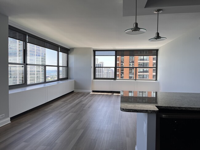 1234 S Michigan Ave, Unit 1003 in Chicago, IL - Building Photo - Building Photo