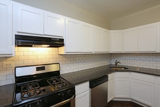 302-312 Washington Blvd. and 337-345 S. Cuyler Ave in Oak Park, IL - Building Photo - Interior Photo