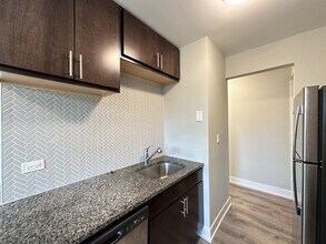 533 W Surf St in Chicago, IL - Building Photo - Building Photo