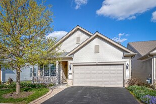 13260 Red Alder Ave in Huntley, IL - Building Photo