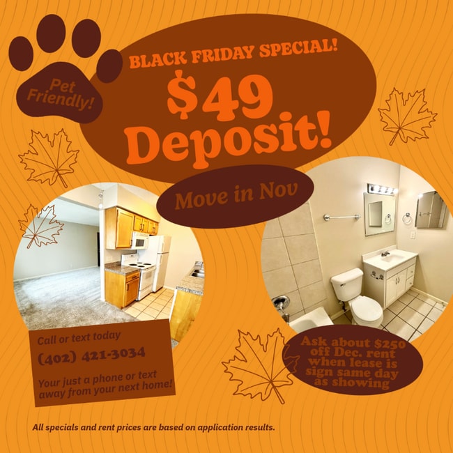 1531 D St in Lincoln, NE - Building Photo - Building Photo