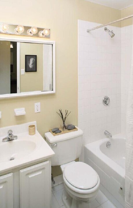 221 Freeman St, Unit 632 in Brookline, MA - Foto de edificio