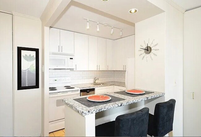 70 W Burton Pl, Unit 1508 in Chicago, IL - Foto de edificio - Building Photo