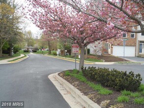 2905 Saint Helen Cir in Silver Spring, MD - Foto de edificio - Building Photo