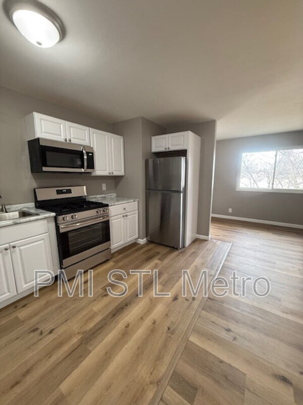 329 Eichelberger St in St. Louis, MO - Foto de edificio - Building Photo