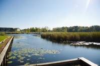 Harbor District Apartments photo'