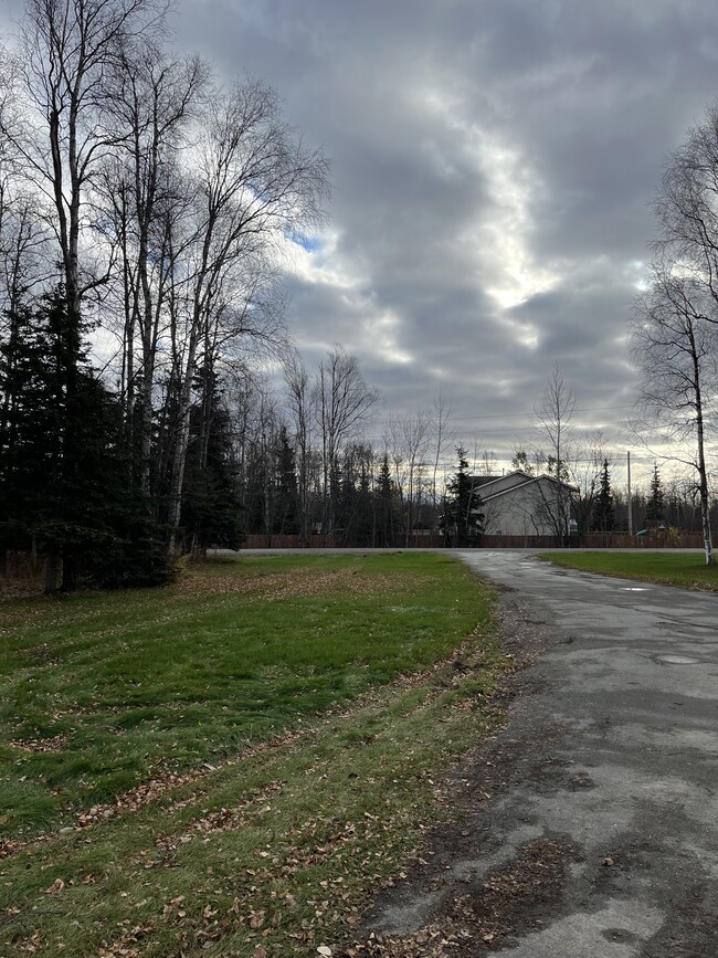 461 E Heather Way, Unit 2 in Wasilla, AK - Building Photo - Building Photo