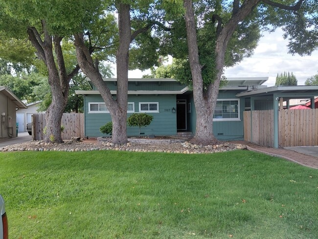 1107 Seward Way