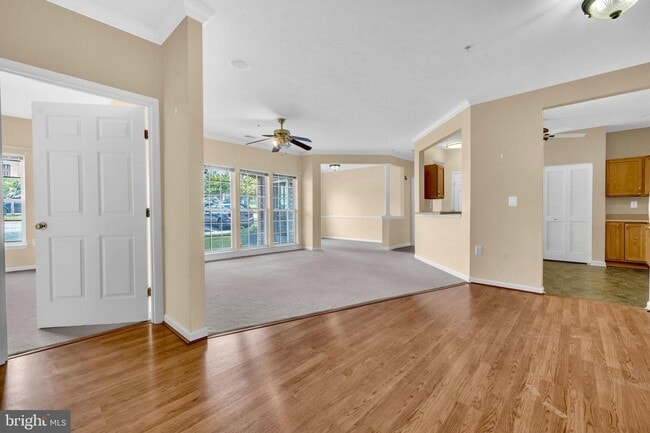 2495 Amber Orchard Ct in Odenton, MD - Building Photo - Building Photo