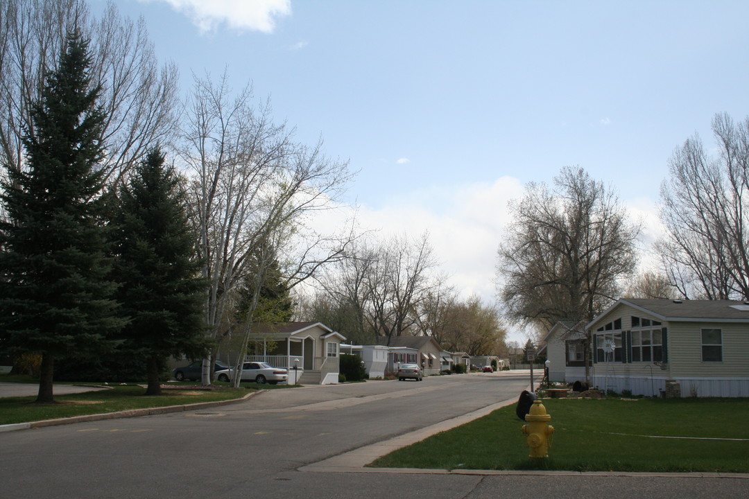 Skyline in Fort Collins, CO - Building Photo