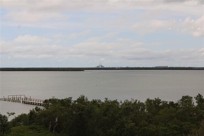 property at 2825 Terra Ceia Bay Blvd