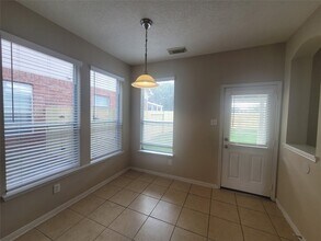 17211 Brookhollow Grove Ct in Houston, TX - Foto de edificio - Building Photo