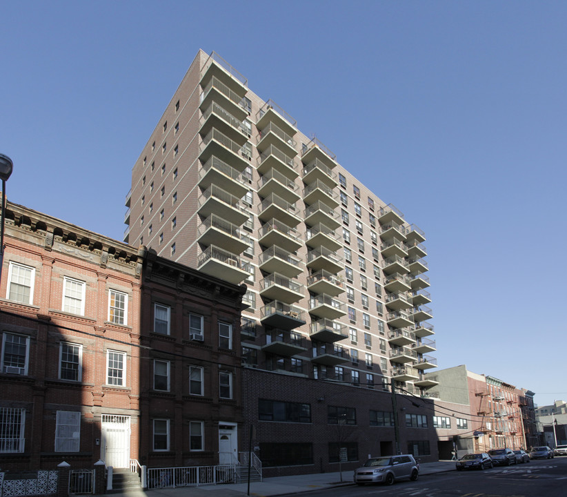 Marks Avenue Apartments in Brooklyn, NY - Building Photo