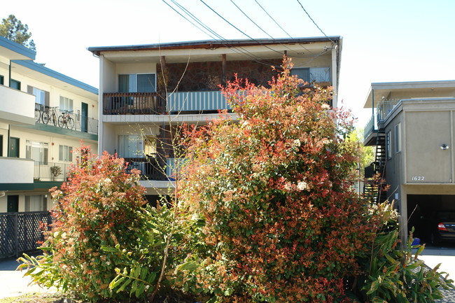 1624 Milvia St in Berkeley, CA - Building Photo - Building Photo