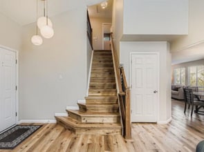 10283 Royal Eagle St in Littleton, CO - Building Photo - Building Photo