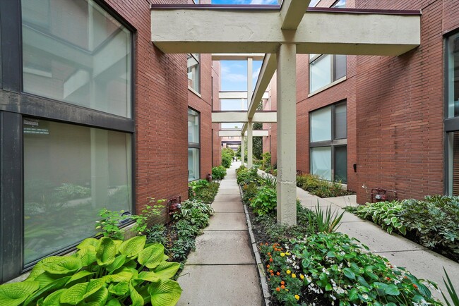 1209 W Cottage Pl in Chicago, IL - Foto de edificio - Building Photo