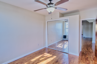 790 Halsey St, Unit 3 in Brooklyn, NY - Building Photo - Building Photo