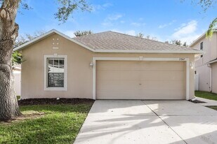17047 Ongar Ct in Land O Lakes, FL - Building Photo