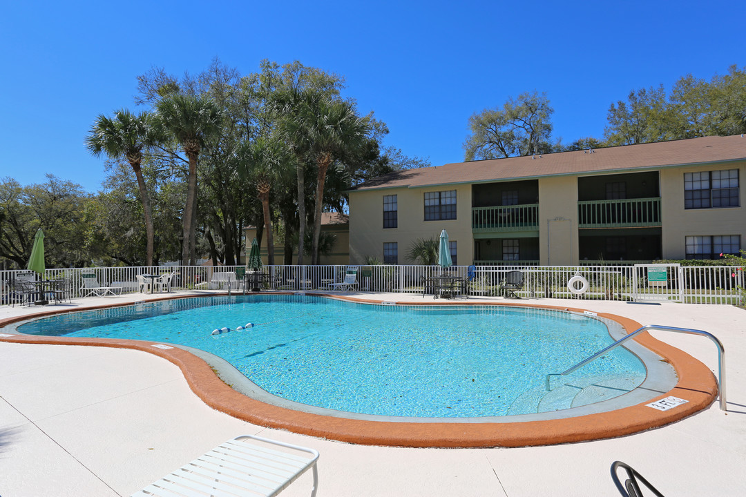 Hermitage Apartments in Valrico, FL - Foto de edificio