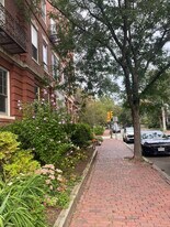 315 Harvard St, Unit 1 in Cambridge, MA - Building Photo