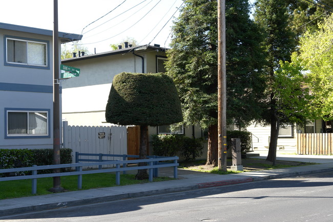 Redwood Oak in Redwood City, CA - Building Photo - Building Photo