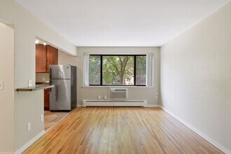 Updated Boutique 28 Unit Building on Emerson in Minneapolis, MN - Foto de edificio - Building Photo