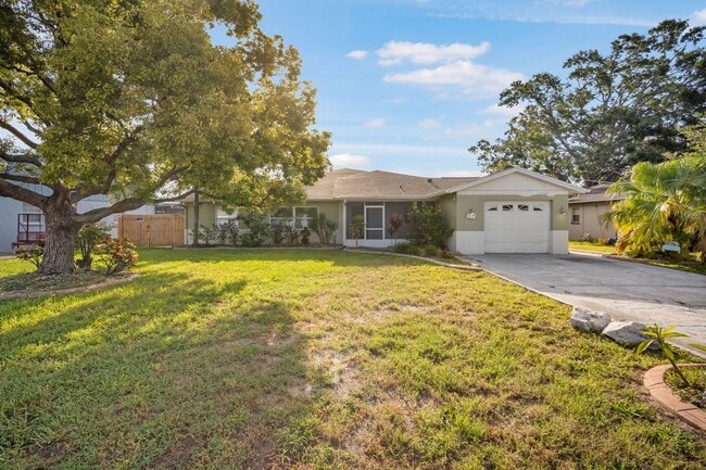 6217 Flamingo Dr in Apollo Beach, FL - Building Photo - Building Photo