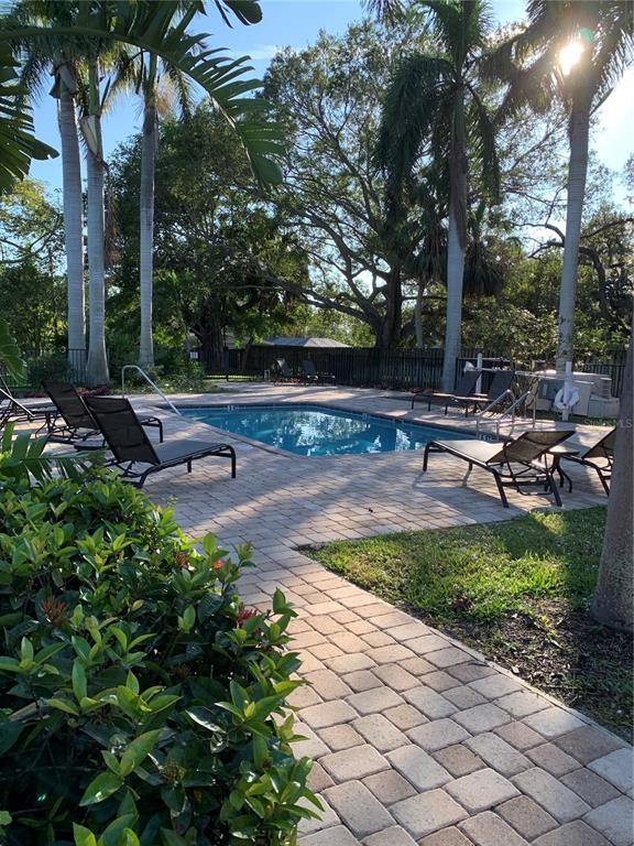 2216 Bahia Vista St in Sarasota, FL - Building Photo - Building Photo