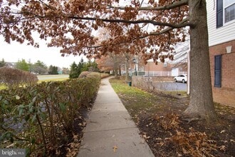 42531 Rockrose Square in Ashburn, VA - Building Photo - Building Photo