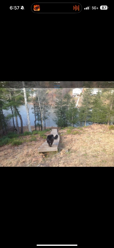 property at 113 Lakeside Dr