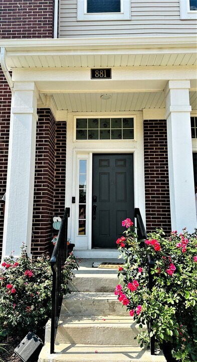 881 Lewisburg Ln in Aurora, IL - Building Photo