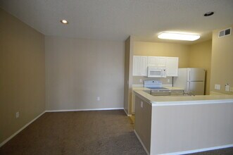 4115 Chatham Oak Ct in Tampa, FL - Building Photo - Building Photo