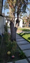 2360 W. 18th St in Los Angeles, CA - Building Photo