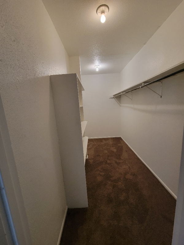 207 Sprucewood Ln in San Antonio, TX - Building Photo - Building Photo