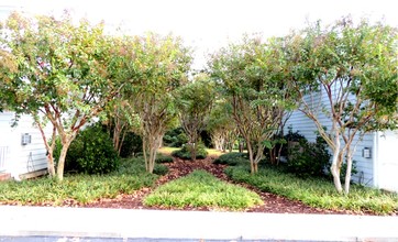 Beaufort Village in Beaufort, NC - Building Photo - Other