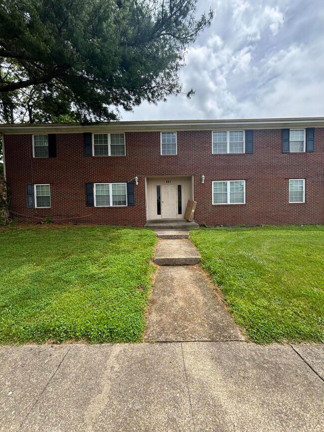 property at 441 Lenney Dr