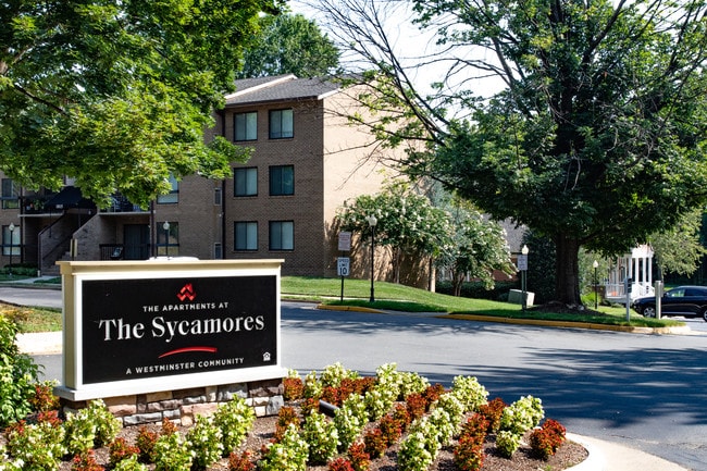The Apartments at The Sycamores