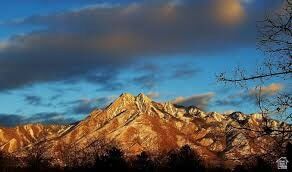 1225 Wolf Hollow Ln, Unit 310 in Salt Lake City, UT - Building Photo - Building Photo