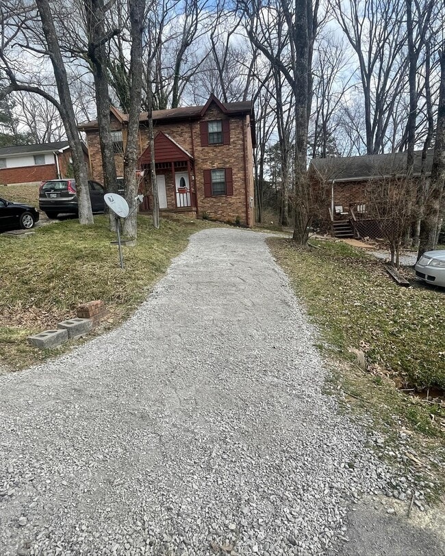 356 Ladybird Dr