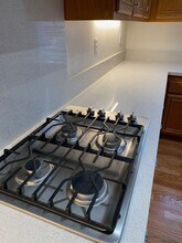 4212 Via Mar De Delfinas in San Diego, CA - Building Photo - Building Photo