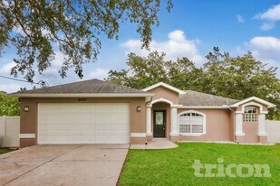 8421 Bay Dr in Spring Hill, FL - Building Photo